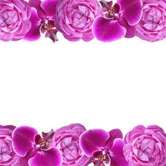 Beautiful floral background with orchids and roses  