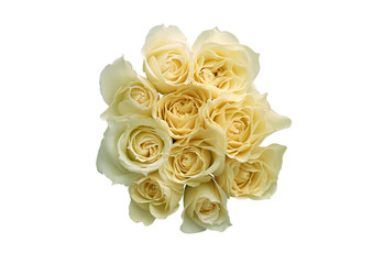yellow roses