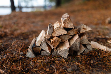 Piled firewood on a fly in the woods for a picnic. The stacked wood with a beautiful texture of bark and wood fiber prepared for a fire side View. Close up.