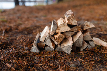 Piled firewood on a fly in the woods for a picnic. The stacked wood with a beautiful texture of bark and wood fiber prepared for a fire side View. Close up.
