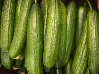 Many cucumbers on the store counter, vegetable themes