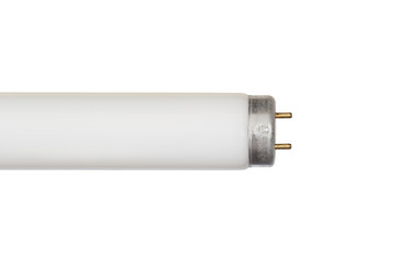 Fluorescent bulb isolated on white.
