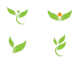 green leaf ecology nature element