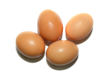 Four brown chicken eggs on a white background