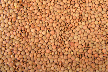 Flat view from above of many Lentil beans