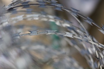 War Barbed wire, a symbol of war and terror on an abstract background.