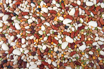 Flat view from above fifteen beans varieties for bean salad or soup