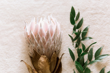 Bunch of Protea Aristata
