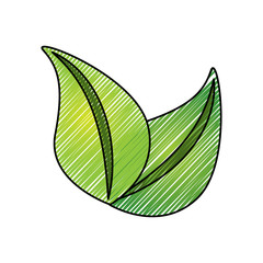 green leaves natural botanical ecology environment vector illustration drawing graphic