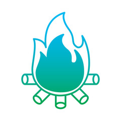 burning bonfire flame with wooden sticks vector illustration degrade color line graphic