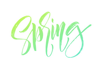 Spring handwritten lettering. Beautiful modern calligraphy. Isolated on white for easy use. Vector illustration