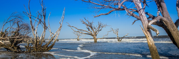 Edisto Island beach