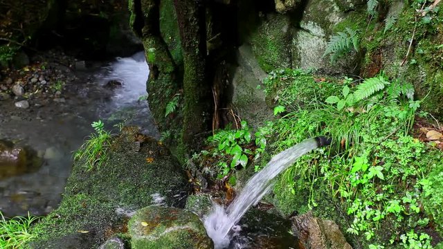 山吹水源
