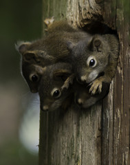 whose out there