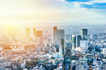 Asia Business concept for real estate and corporate construction - panoramic modern city skyline bird eye aerial view of Shinjuku under blue sky in Roppongi Hill, Tokyo, Japan