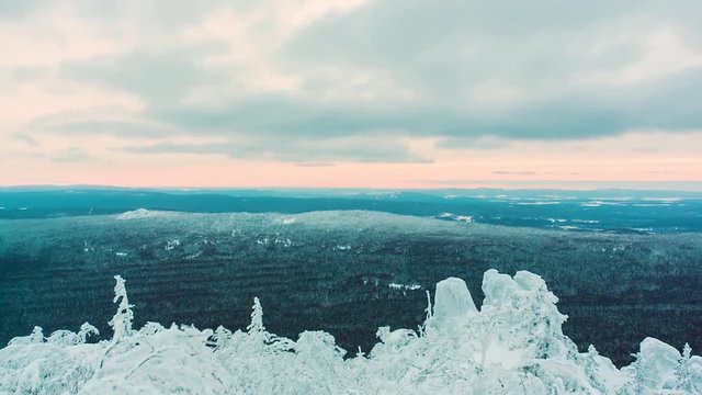 View toward the snow covered peak above the valley. Tree branches in the foreground of a cloudy alpine skyline. Video. Aerial, beautiful trees under the snow in the wood. Winter landscape
