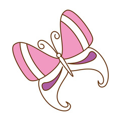 butterfly flying decorative frame vector illustration design