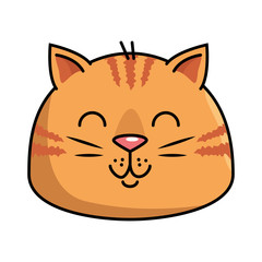cute cat head mascot vector illustration design