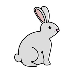 Fototapeta na wymiar cute rabbit pet character vector illustration design
