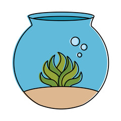 aquarium bowl with algae vector illustration design