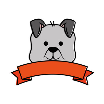 cute dog mascot head with ribbon vector illustration design