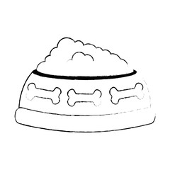 dish pet with food vector illustration design