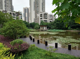 pond inside the society