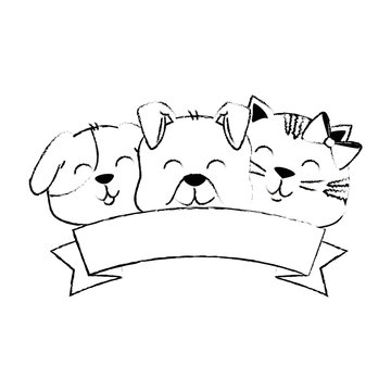 cute dog and cat with ribbon vector illustration design