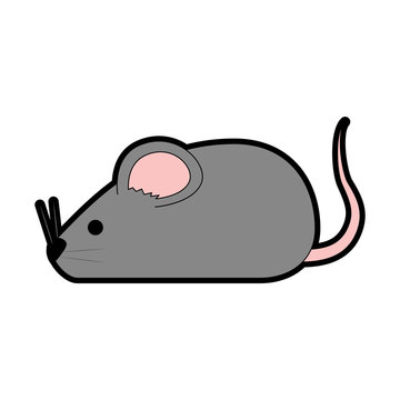cute mouse isolated icon vector illustration design