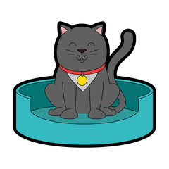 cute cat in the mattress mascot vector illustration design