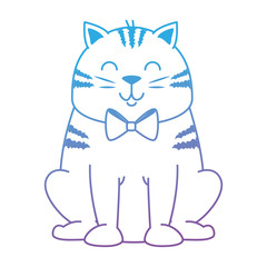 cute cat mascot character vector illustration design
