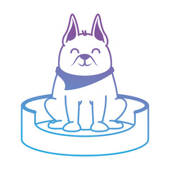 cute dog in the mattress mascot vector illustration design