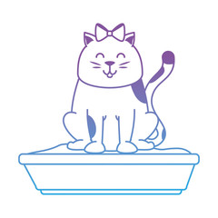 cute cat mascot with sand box vector illustration design