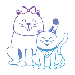 cute cats mascots characters vector illustration design