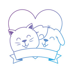 cute dog and cat with ribbon vector illustration design