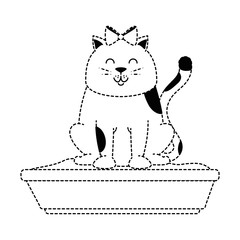 cute cat mascot with sand box vector illustration design