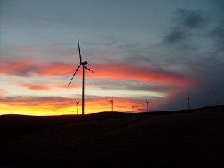 Obraz premium Morning Wind Farm