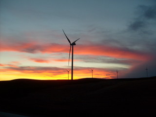 Morning Wind Farm