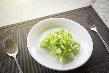 lettuce leave on a white plate. concept for healthy care