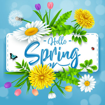 Hello Spring background with beautiful flower and insects on blue background