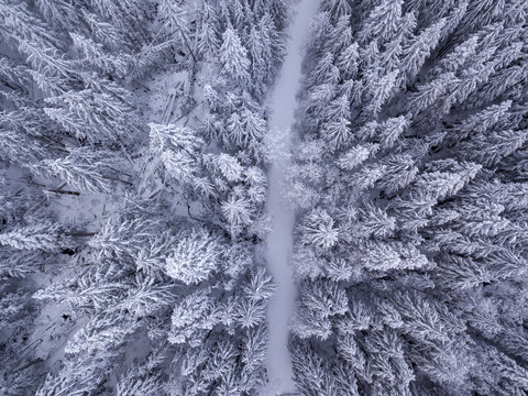 Overhead View Of Snow Covered Trees And Snow Covered Road In The Wilderness