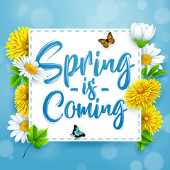 Naklejka premium Spring is coming. Spring background with beautiful colorful flower on blue background