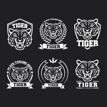 White tiger icon collection set