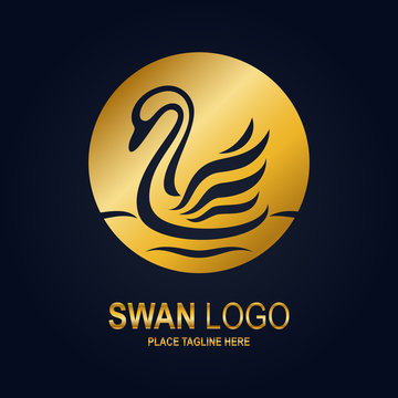Swan icon design template. Golden swan icon