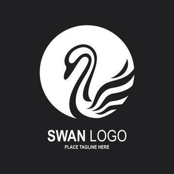 Swan icon design template. White swan icon