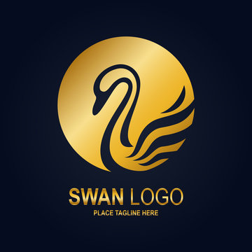 Swan icon design template. Golden swan icon