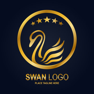 Swan icon design template. Golden swan icon and star in round frame