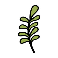 branch leaves plant natural botanical icon vector illustration