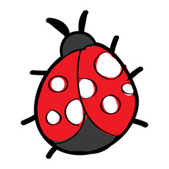 cute insect ladybug animal wildlife icon vector illustration