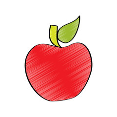 red fruit tasty apple delicious food vector illustration drawing design color